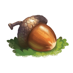 acorn_01